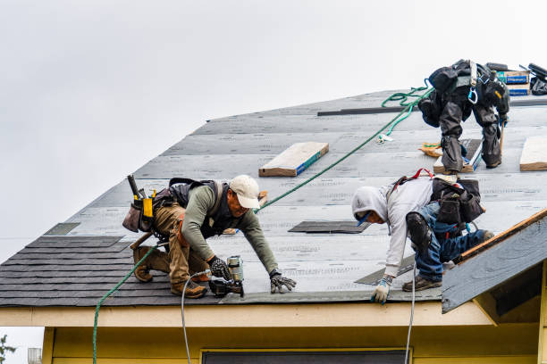 Professional Roofing technician working in Shirley, IN